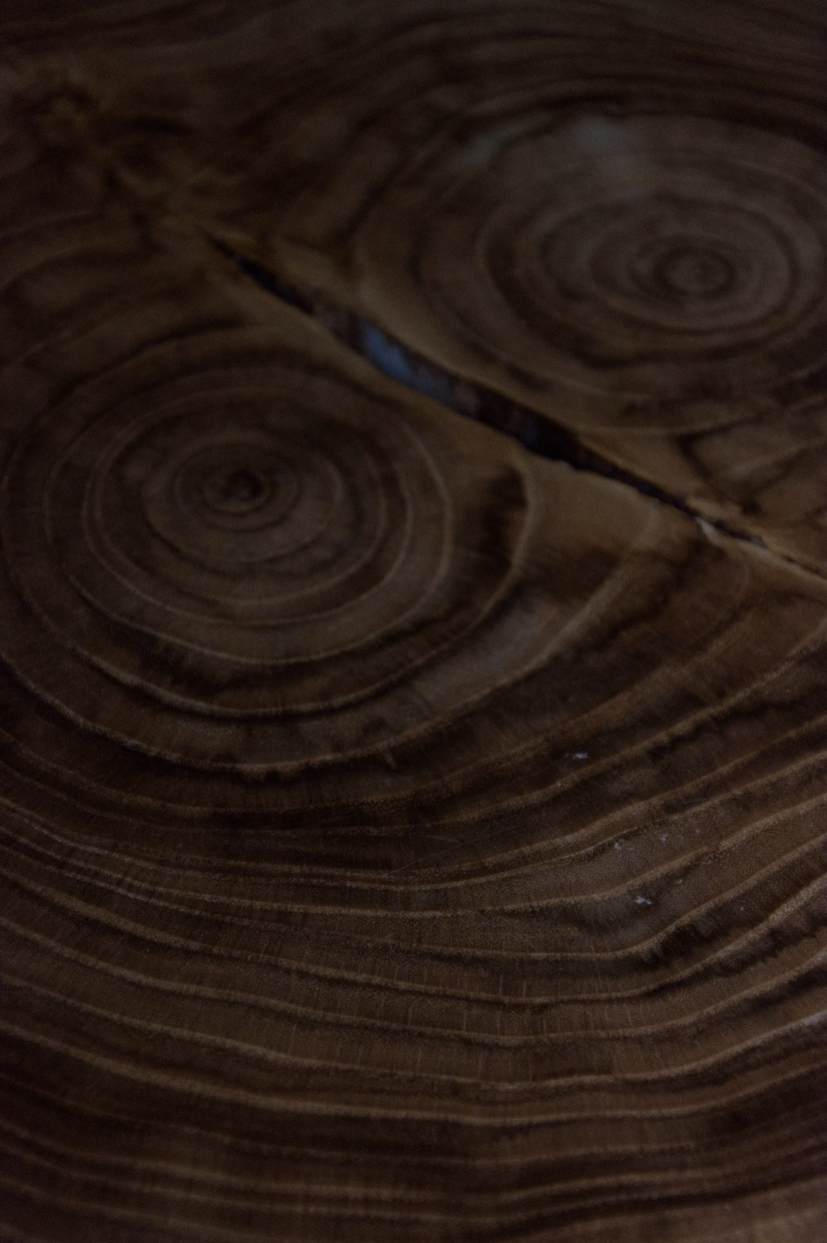 Wietse Coopman's Picture